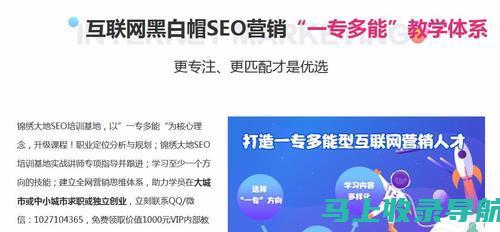 提升SEO技能从入门开始：书籍PDF下载推荐