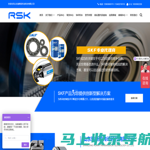 SKF_斯凯孚-山东瑞斯凯传动科技有限公司